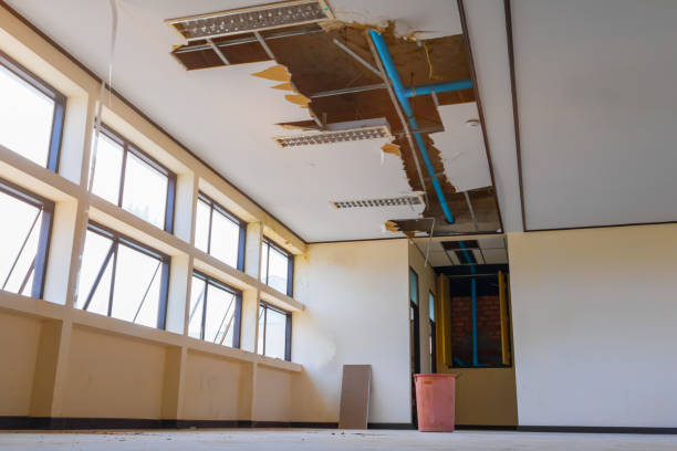 Best Professional water damage repair  in Mint Hill, NC