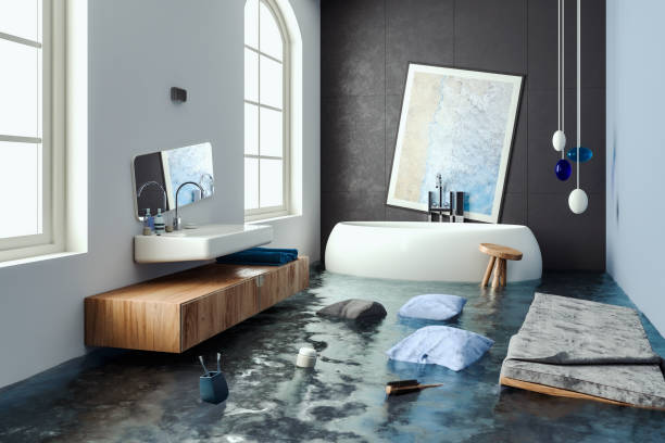 Best Carpet water damage restoration  in Mint Hill, NC