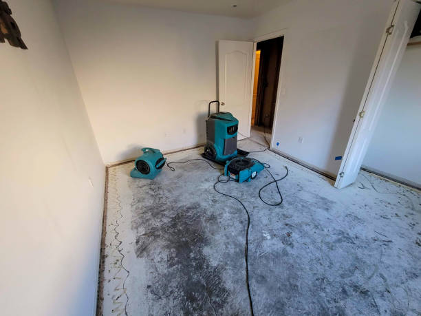 Best Basement water damage restoration  in Mint Hill, NC