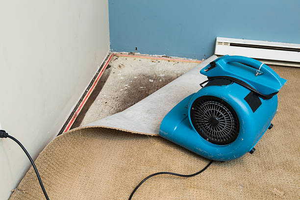 Best Basement water damage restoration  in Mint Hill, NC